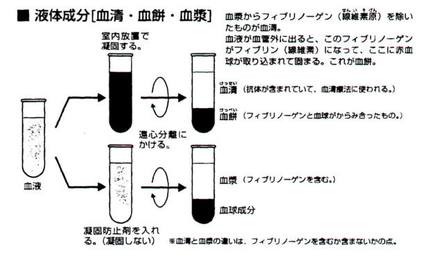液体成分（血清・血餅・血漿）