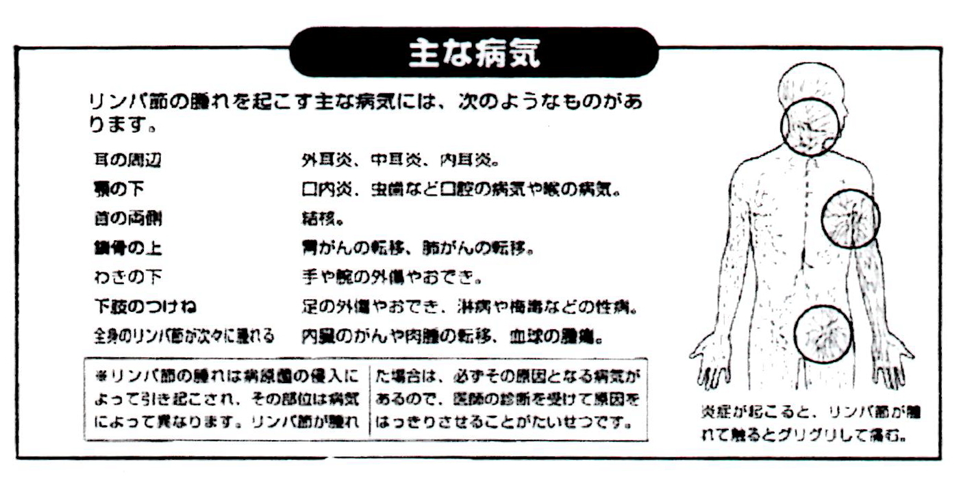 主な病気