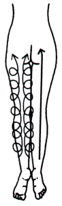 らせんを描く