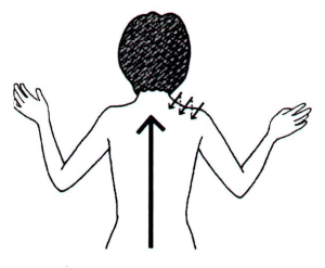 肩上