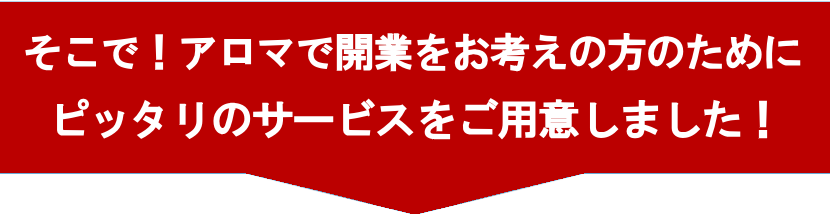 A}ŊJƂ̂߂